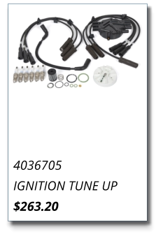 4036705 IGNITION TUNE UP $263.20