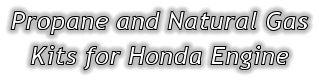 Propane and Natural Gas Kits for Honda Engine