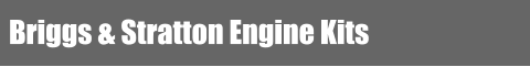 Briggs & Stratton Engine Kits