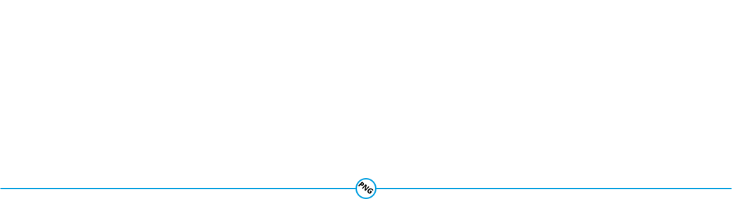 Propane and Natural Gas Kits for Northstar Generators 1 PNG