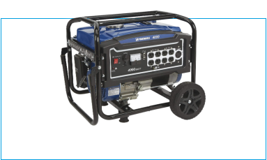 Powerhorse Natural Gas Kit Models 9000es watts