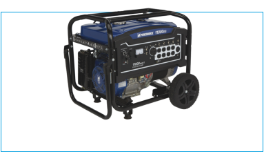 Powerhorse Propane kit Models 11000es watts