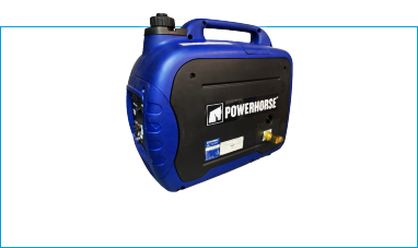 Powerhorse Propane Kit Models 2000 watts