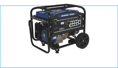Powerhorse generator 11000es watts