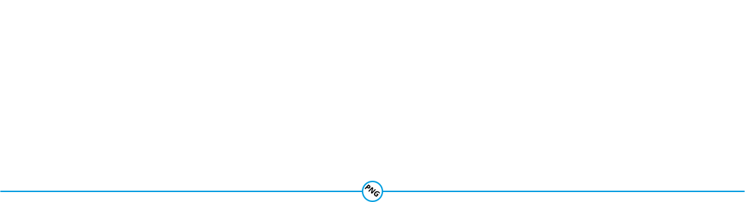 Propane and Natural Gas Kits for Powermate Generators 1 PNG