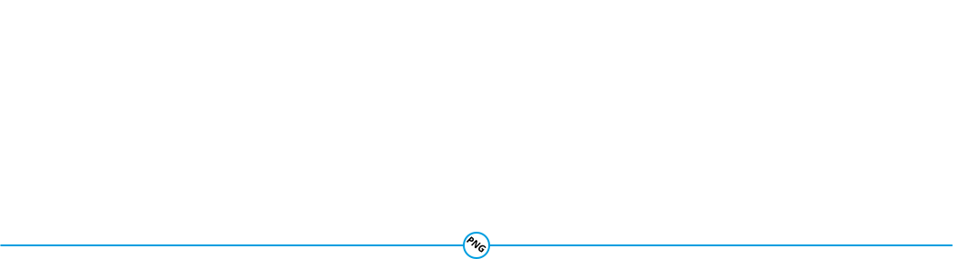 Propane and Natural Gas Kits for Pulsar Generators 1 PNG