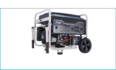 Pulsar Natural Gas kit Model 6580 Watts