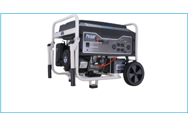 Pulsar Propane Kit Model 6580 Watts