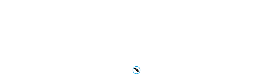 Propane and Natural Gas Kits for Universal Applications 1 PNG