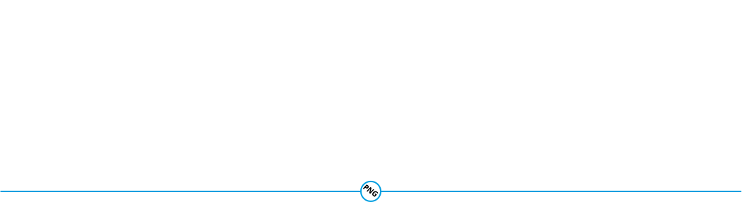 Propane and Natural Gas for Universal Applications 1 PNG